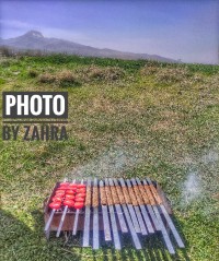 کباب کوبیده سیزده بدر