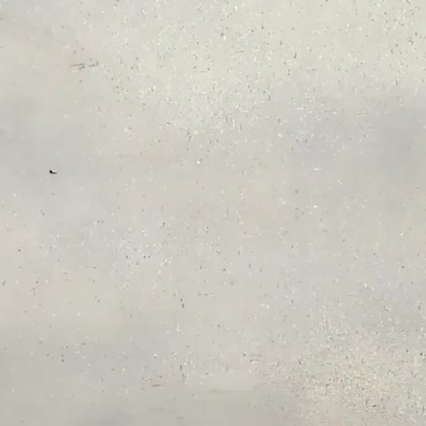 چیپس با پنیر:)