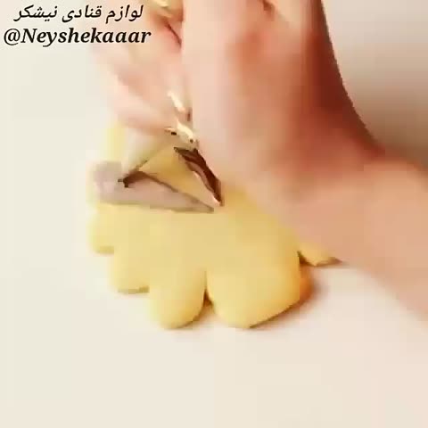 بوقلمون های خوشگل و خوردنی