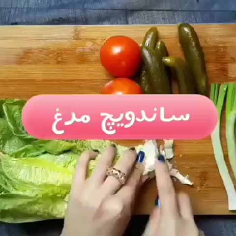 ساندویچ مرغ