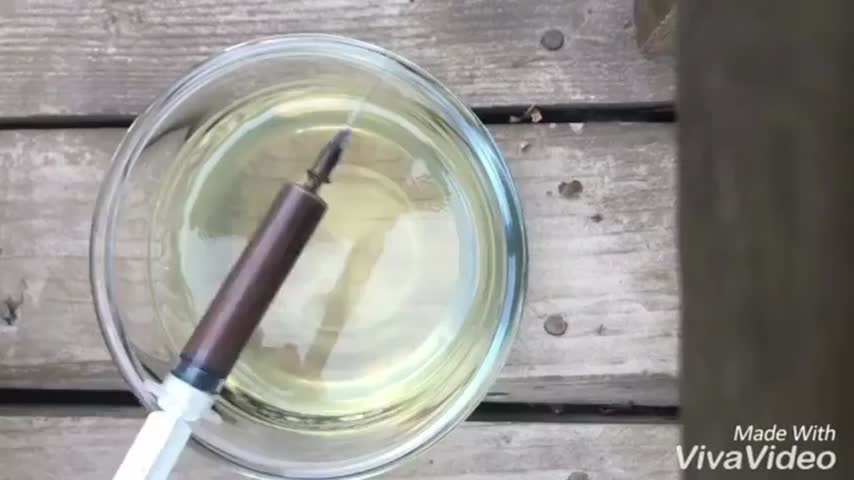 ژله تزریقی آفتاب گردونی