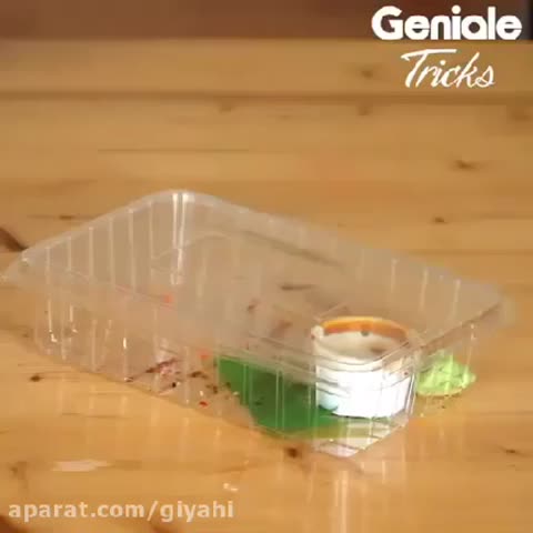 ایده با وسایلی که نباید دور بریزیم اما میریزیم ?