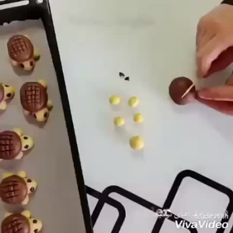 قرابیه لاک پشتی