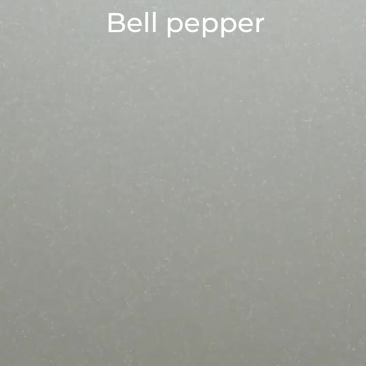 راهکار آشپزی