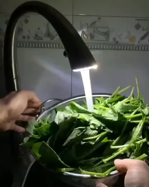 لازانیای نابغه