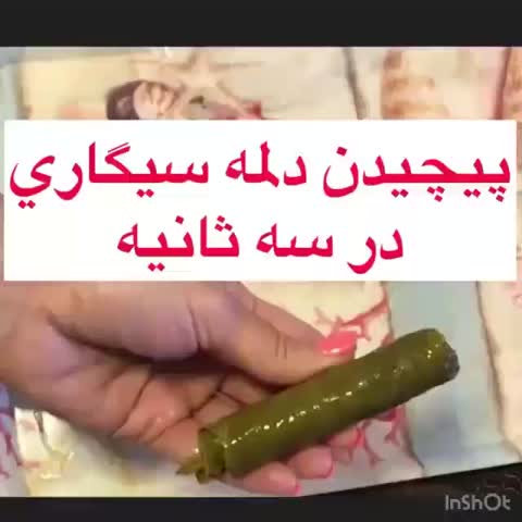 پیچیدن دلمه.....