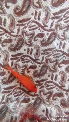 سفره هفت سین ۱۴۰۰