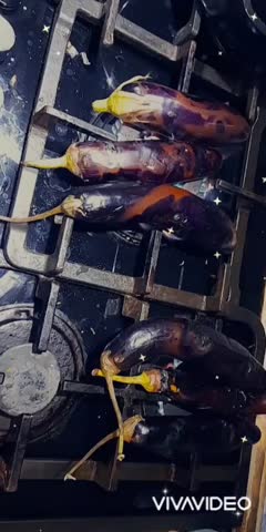 میرزا قاسمی