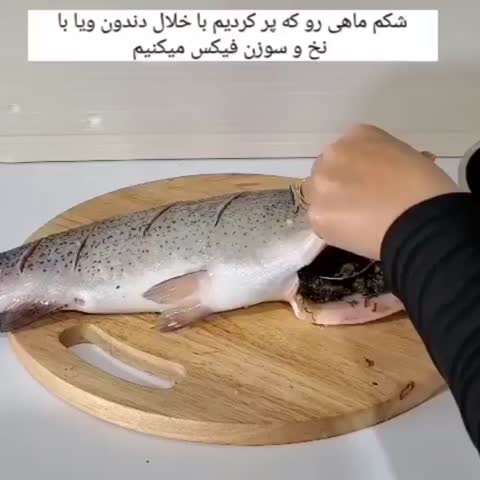 ماهی شکم پر ۲