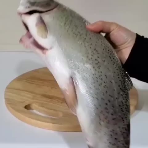 ماهی شکم پر