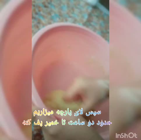 پیراشکی مرغ