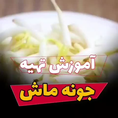 آموزش تهیه جوانه ماش
