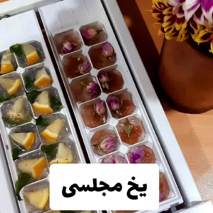 یخ مجلسی