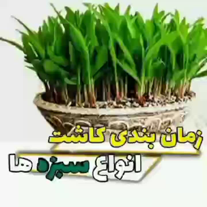 سبزه ۱۴۰۱