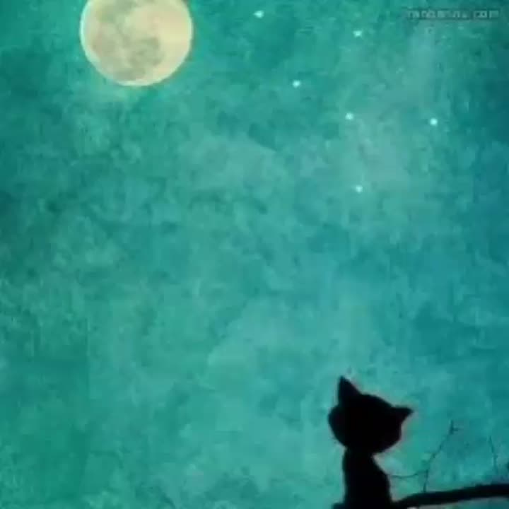 کیک شیفون مواد این کیک رو زیاد نکنید ازش دوتا درست کنین برای خامه کشی