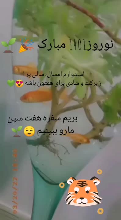 سفره هفت سین
