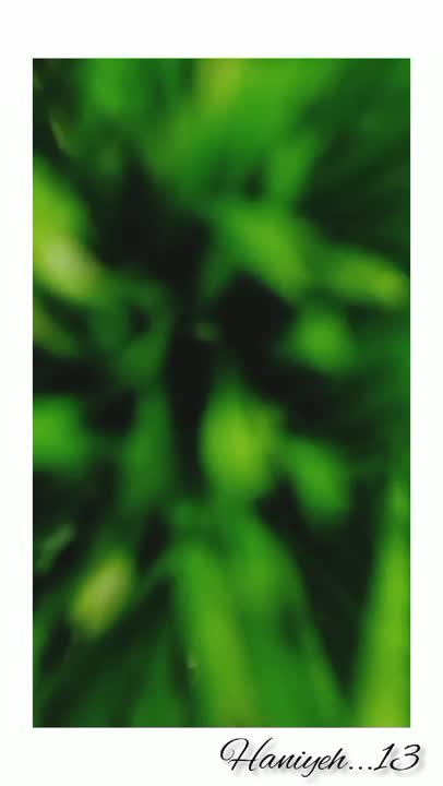 سفره هفت سین ۱۴۰۱