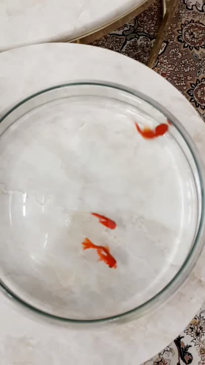 سفره هفت سین