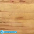 پیتزا با نان برگر