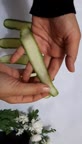 آموزش،گل با خیار