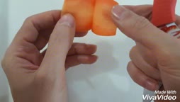 پروانه با هویج