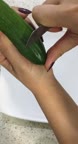 گل با خیار