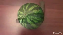 جالبه ببینید