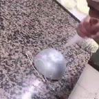 کاسه شکلاتی