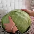 دلمه کلم مثلثی?