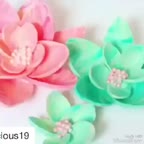 گل های شوکولاتی ♥️