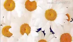 کیک خرما،بدون شکر