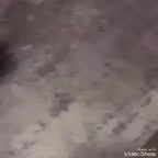 کیک میکی موس