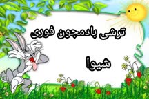 ترشی بادمجون