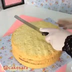 دیزاین کیک به شکل پروانه