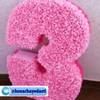 فیلم استند عدد