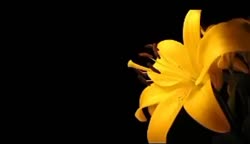 تزئین پنکیک.ساده قشنگ