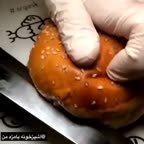 ساندویچ مرغ بریونی