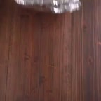 بیسکوییت بستنی