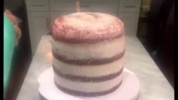 تزئین کیک به شکل کاکتوس