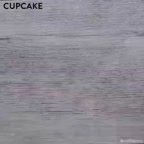 طرح جغد روی کاپ کیک، خیلی باحاله