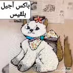 باکس آجیل