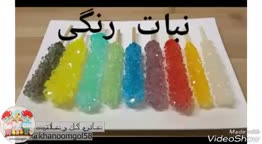 نبات خانگی