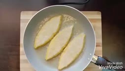 کتلت شیرازی