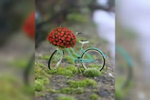 یه تولد..یه شاااام..