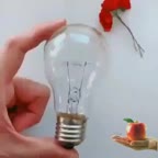 ایده با لامپ سوخته