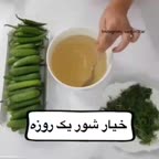 خیار شور یک روزه