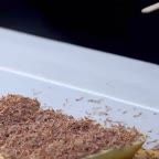 نمیدونم اسمش بستنی هست یا ساندویچ ??