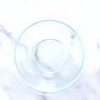 کاکتوس خوراکی