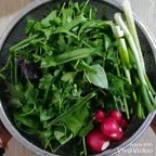 نگهداری سبزی خوردن