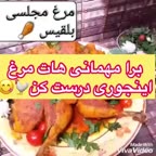 مرغ مجلسی بلقیس